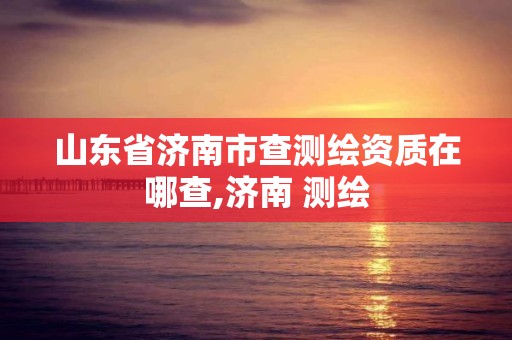 山东省济南市查测绘资质在哪查,济南 测绘