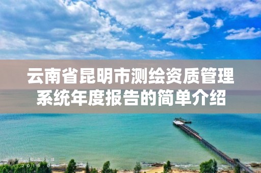 云南省昆明市测绘资质管理系统年度报告的简单介绍