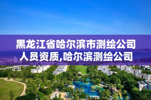 黑龙江省哈尔滨市测绘公司人员资质,哈尔滨测绘公司有哪些