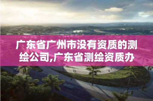 广东省广州市没有资质的测绘公司,广东省测绘资质办理流程