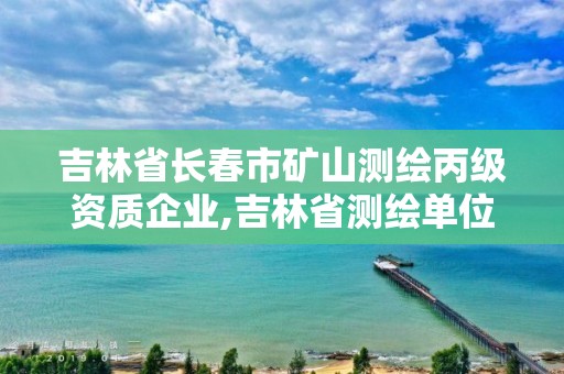 吉林省长春市矿山测绘丙级资质企业,吉林省测绘单位名录