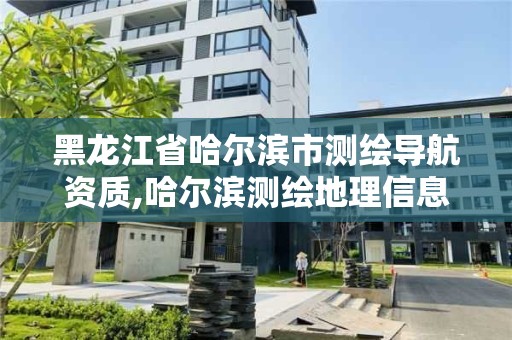 黑龙江省哈尔滨市测绘导航资质,哈尔滨测绘地理信息局