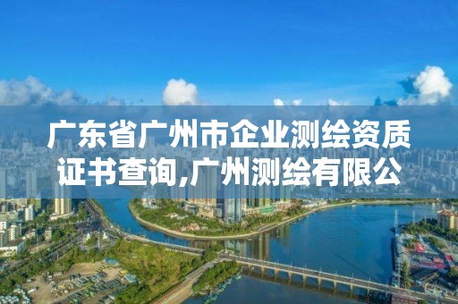 广东省广州市企业测绘资质证书查询,广州测绘有限公司