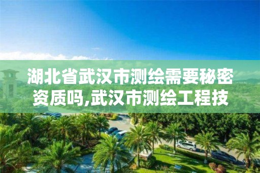 湖北省武汉市测绘需要秘密资质吗,武汉市测绘工程技术规定