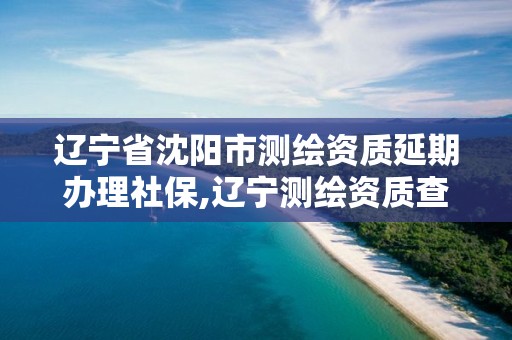 辽宁省沈阳市测绘资质延期办理社保,辽宁测绘资质查询