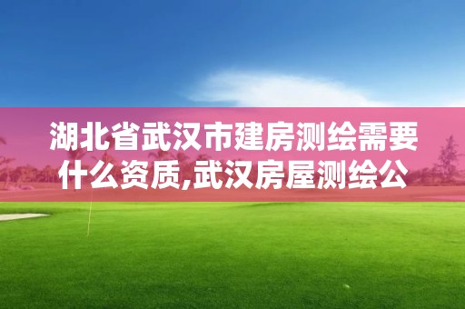 湖北省武汉市建房测绘需要什么资质,武汉房屋测绘公司。