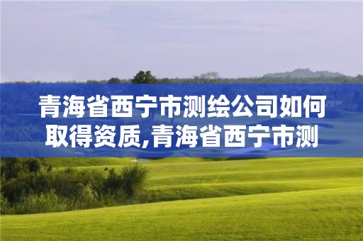 青海省西宁市测绘公司如何取得资质,青海省西宁市测绘公司如何取得资质证