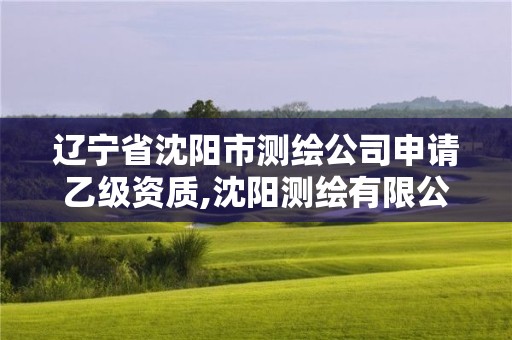 辽宁省沈阳市测绘公司申请乙级资质,沈阳测绘有限公司