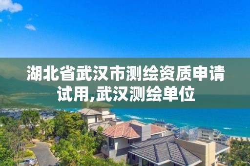 湖北省武汉市测绘资质申请试用,武汉测绘单位