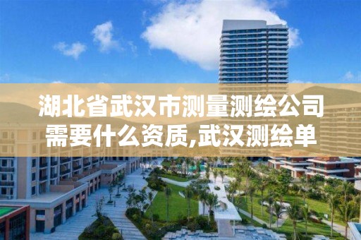 湖北省武汉市测量测绘公司需要什么资质,武汉测绘单位。