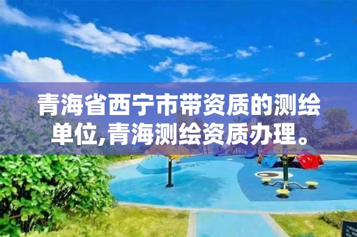 青海省西宁市带资质的测绘单位,青海测绘资质办理。