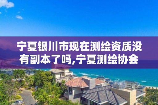 宁夏银川市现在测绘资质没有副本了吗,宁夏测绘协会。