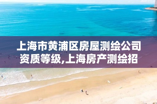 上海市黄浦区房屋测绘公司资质等级,上海房产测绘招聘