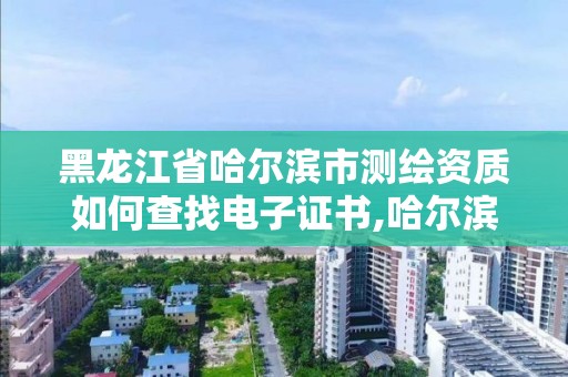 黑龙江省哈尔滨市测绘资质如何查找电子证书,哈尔滨测绘局在哪