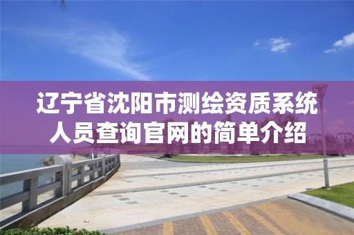 辽宁省沈阳市测绘资质系统人员查询官网的简单介绍