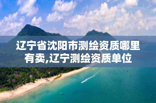 辽宁省沈阳市测绘资质哪里有卖,辽宁测绘资质单位