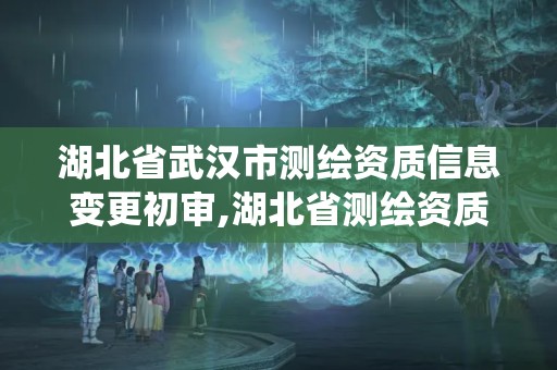 湖北省武汉市测绘资质信息变更初审,湖北省测绘资质管理系统