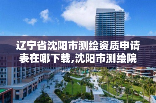 辽宁省沈阳市测绘资质申请表在哪下载,沈阳市测绘院是什么单位。