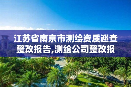 江苏省南京市测绘资质巡查整改报告,测绘公司整改报告