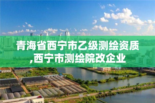 青海省西宁市乙级测绘资质,西宁市测绘院改企业