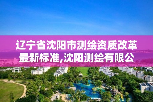 辽宁省沈阳市测绘资质改革最新标准,沈阳测绘有限公司