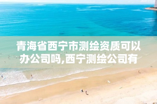 青海省西宁市测绘资质可以办公司吗,西宁测绘公司有哪些