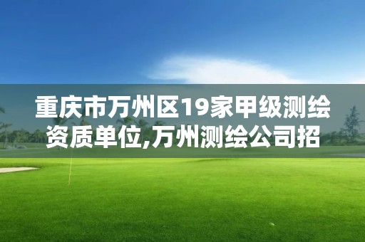 重庆市万州区19家甲级测绘资质单位,万州测绘公司招聘。