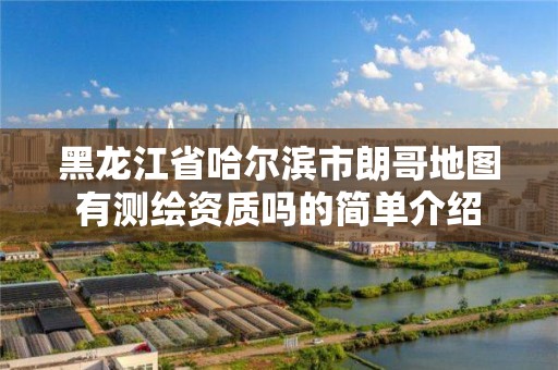 黑龙江省哈尔滨市朗哥地图有测绘资质吗的简单介绍