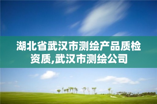 湖北省武汉市测绘产品质检资质,武汉市测绘公司