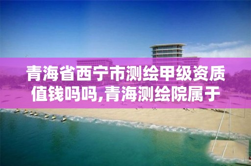 青海省西宁市测绘甲级资质值钱吗吗,青海测绘院属于什么单位