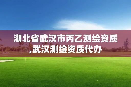 湖北省武汉市丙乙测绘资质,武汉测绘资质代办