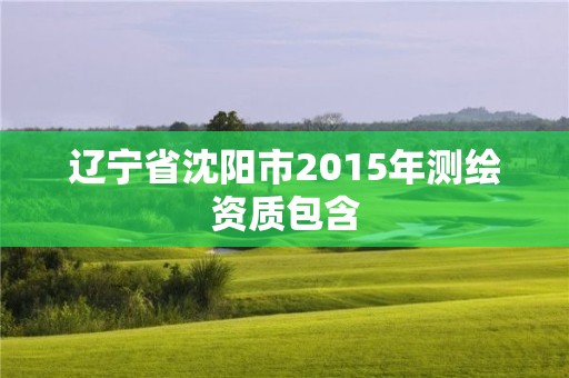 辽宁省沈阳市2015年测绘资质包含