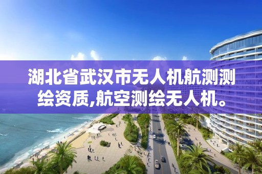 湖北省武汉市无人机航测测绘资质,航空测绘无人机。