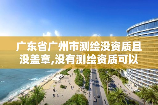 广东省广州市测绘没资质且没盖章,没有测绘资质可以开测绘发票吗