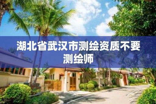 湖北省武汉市测绘资质不要测绘师