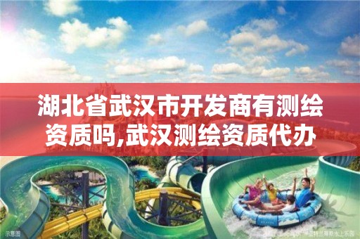 湖北省武汉市开发商有测绘资质吗,武汉测绘资质代办。