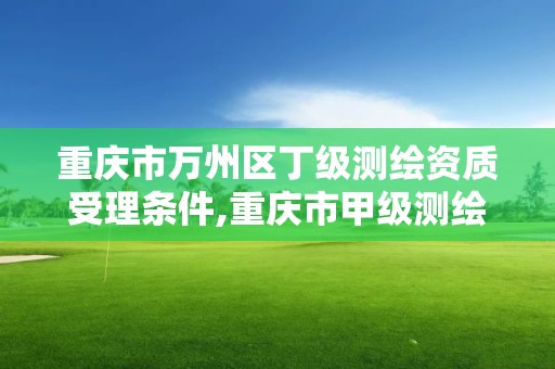 重庆市万州区丁级测绘资质受理条件,重庆市甲级测绘资质单位