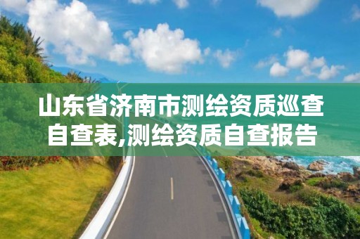 山东省济南市测绘资质巡查自查表,测绘资质自查报告