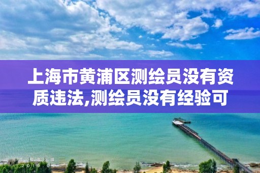 上海市黄浦区测绘员没有资质违法,测绘员没有经验可以吗