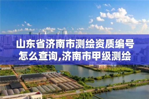 山东省济南市测绘资质编号怎么查询,济南市甲级测绘资质单位