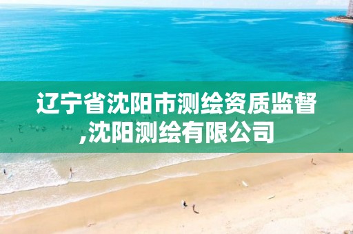 辽宁省沈阳市测绘资质监督,沈阳测绘有限公司