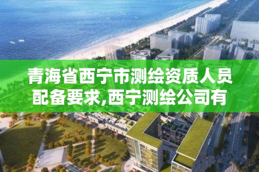 青海省西宁市测绘资质人员配备要求,西宁测绘公司有哪些。