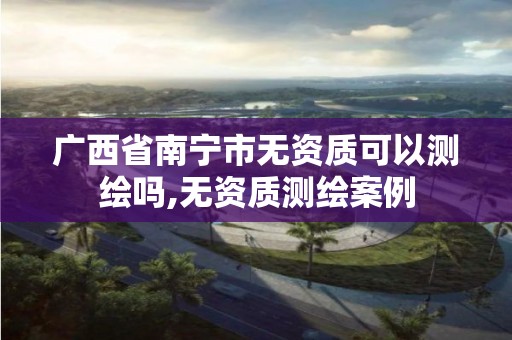 广西省南宁市无资质可以测绘吗,无资质测绘案例