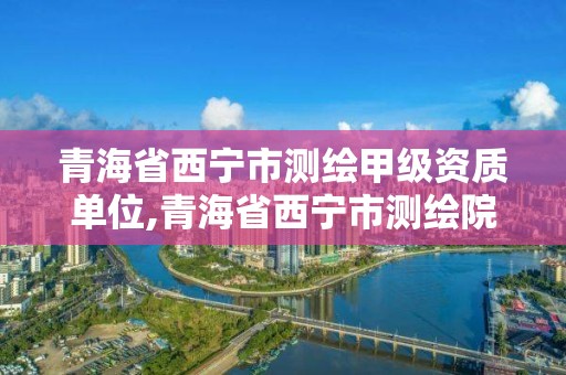 青海省西宁市测绘甲级资质单位,青海省西宁市测绘院