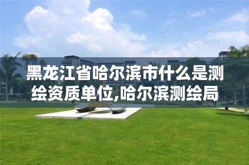 黑龙江省哈尔滨市什么是测绘资质单位,哈尔滨测绘局怎么样