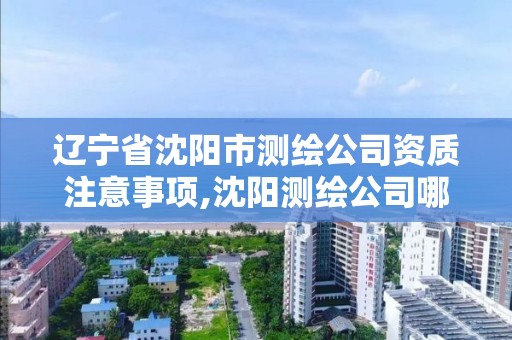 辽宁省沈阳市测绘公司资质注意事项,沈阳测绘公司哪家强哪家好。