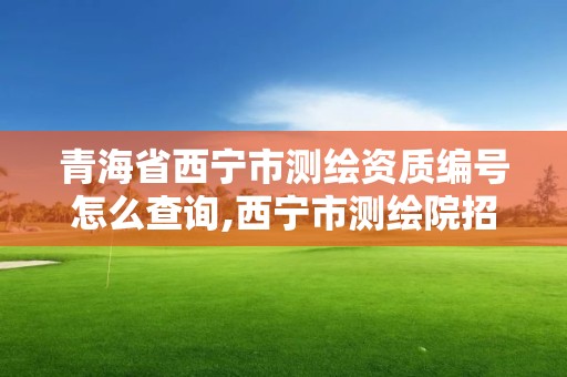 青海省西宁市测绘资质编号怎么查询,西宁市测绘院招聘公示