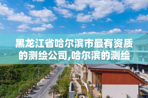 黑龙江省哈尔滨市最有资质的测绘公司,哈尔滨的测绘公司有哪些。