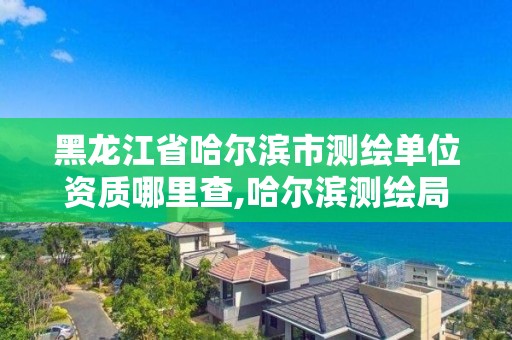 黑龙江省哈尔滨市测绘单位资质哪里查,哈尔滨测绘局在哪