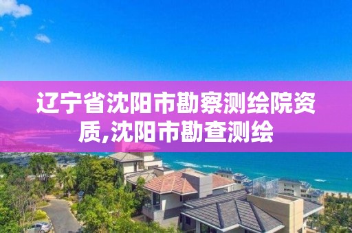 辽宁省沈阳市勘察测绘院资质,沈阳市勘查测绘